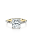 Contour Band Pavé