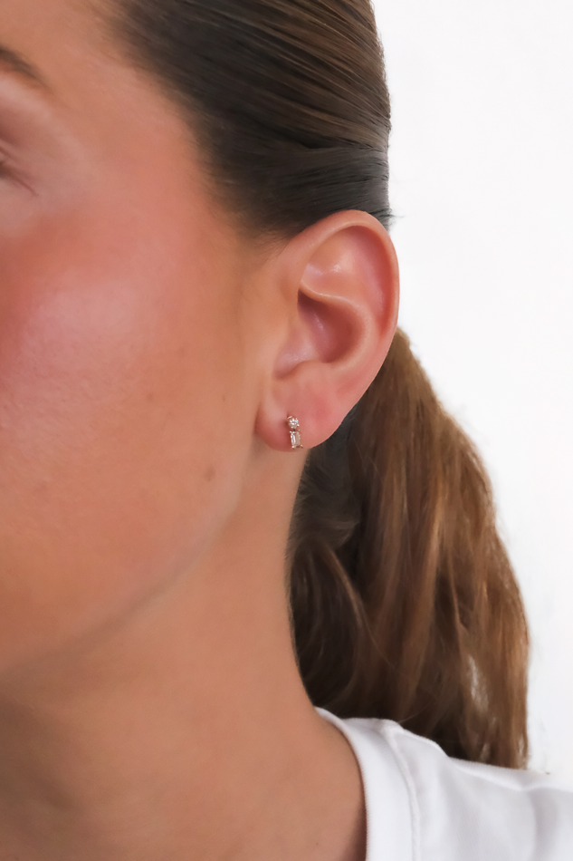 Two Diamond Drop Earrings