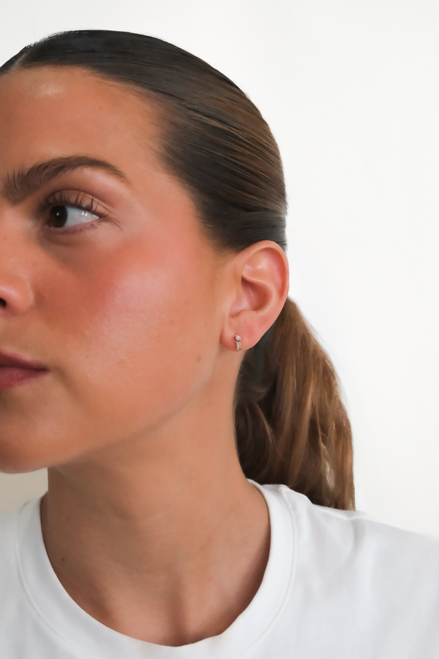 Two Diamond Drop Earrings