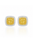 Paige Yellow Diamond Square Earrings